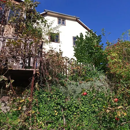 U Muzikanta 아파트