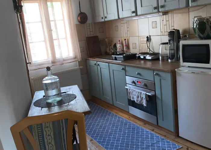 U Muzikanta Apartament *