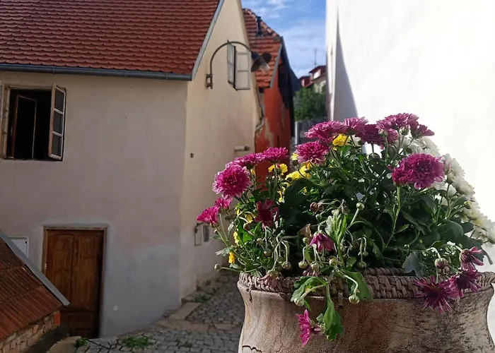 U Muzikanta * Český Krumlov